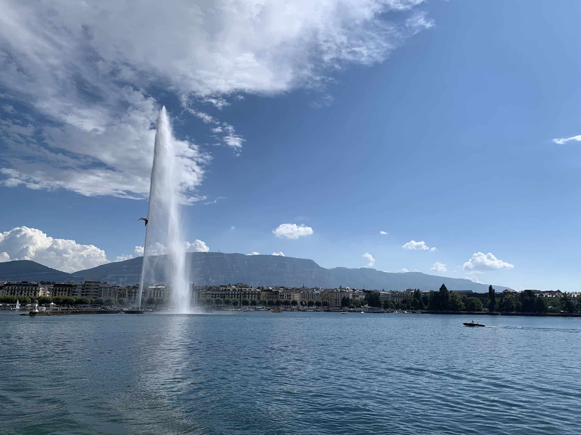 belle epoque cruise geneva