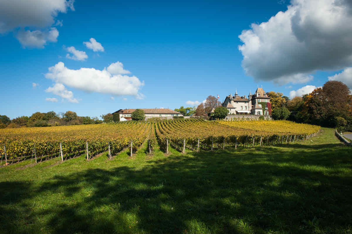 Profiter de l’automne à Genève…